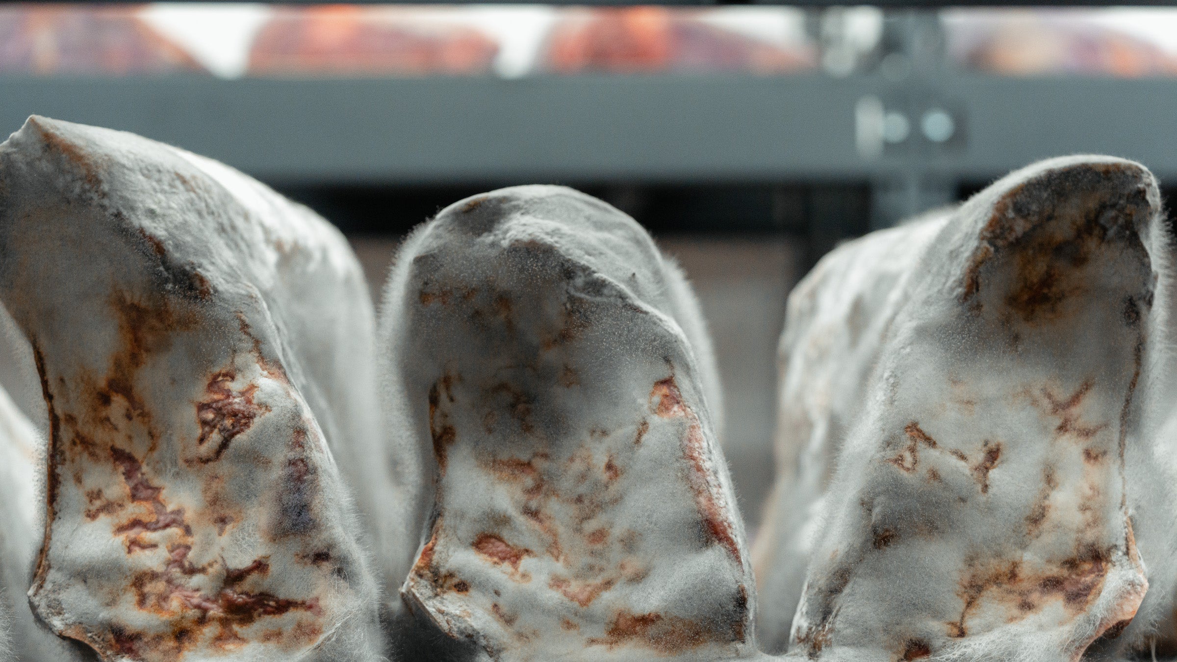 Breaking the Mold: Justin Brunson Has Beef, and It's a Game-Changer