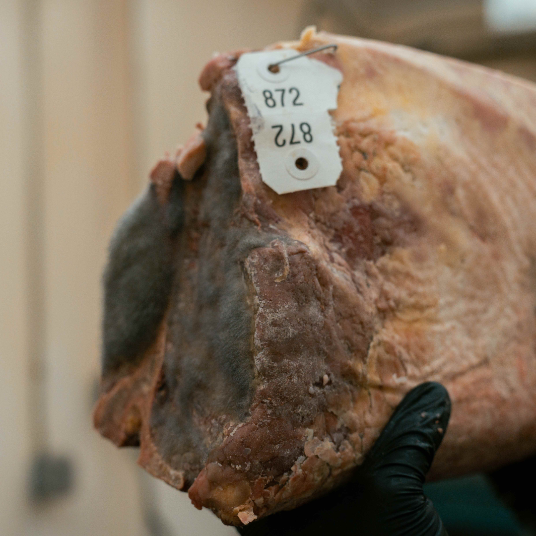 brunson_meat_co_noble_molds